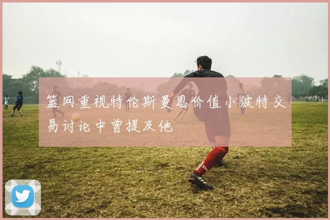篮网重视特伦斯曼恩价值小波特交易讨论中曾提及他